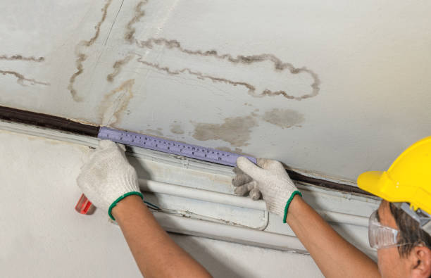 Reliable Water Damage Restoration contractor in New London, CT by Local Water Damage Repair
